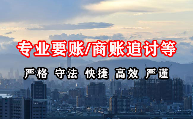 龙沙清债公司